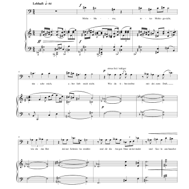 Ihr Lieder mein! op. 48